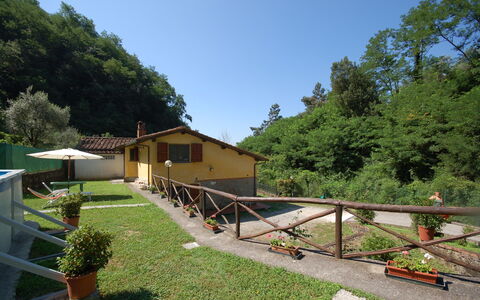 Casa Milena: Propriété, Immobilier, Maison, Botanique, Bâtiment, Cour, Jardin, Paysage, Domicile, Arbre