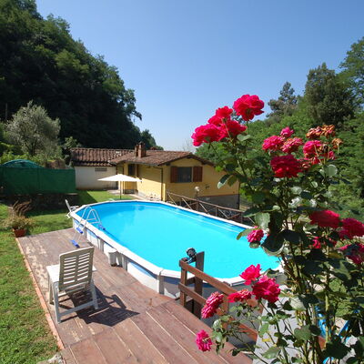 Casa Milena: Piscine, Propriété, Botanique, Fleur, Loisir, Recours, Plante, Jardin, Vacances, Villa