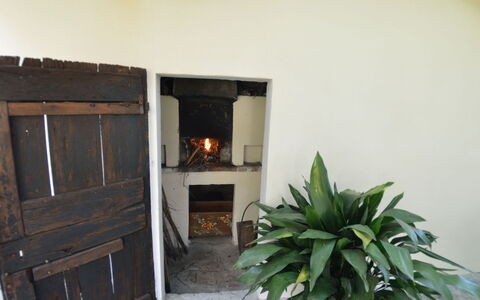 Casa Romana: Propriété, Pièce, Maison, Bâtiment, Immobilier, Domicile, Porte, Plante, Sol