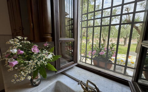 Casa Romana: Verre, Pot De Fleur, Le Fer, Plante D'Appartement, Daylighting, Balcon