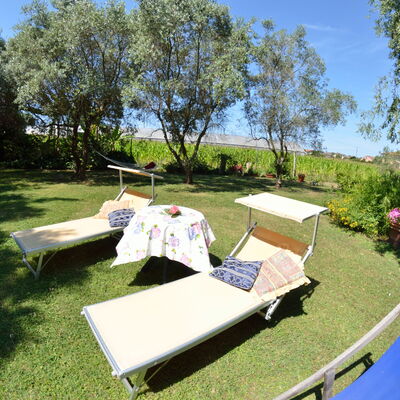 Casa Romana: Propriété, Arbre, Herbe, Communauté Des Plantes, Table, Loisir, Immobilier, Maison, Des Loisirs, Vacances