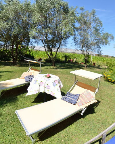 Casa Romana: Propriété, Arbre, Herbe, Communauté Des Plantes, Table, Loisir, Immobilier, Maison, Des Loisirs, Vacances