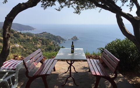 Raggio Di Sole Sull'argentario: Arbre, Ciel, Mer, Vacances, Tourisme, Côte, Meubles, Table, Baie, Recours