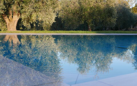Agriturismo La Pieve: Réflexion, L'Eau, La Nature, Paysage Naturel, Bleu, Arbre, Ressources En Eau, Ciel, Lac, Miroir D'Eau