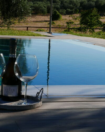 Agriturismo La Pieve: L'Eau, Piscine, Arbre, Loisir, Vacances, Caractéristique De L'Eau, Paysage, Plante, Verre, Maison