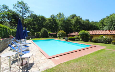 Villa le Balze: Plante, Ciel, Propriété, Piscine, Ombre, Arbre, L'Eau, Chaise, Herbe, Loisir