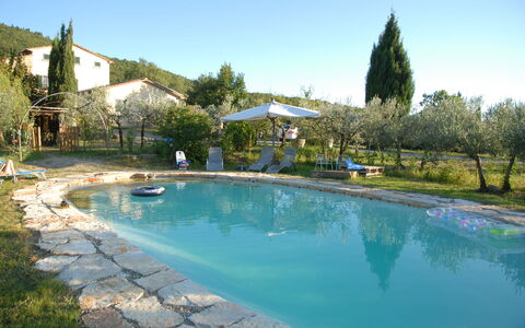 Villa Eleonora: Piscine, Propriété, Immobilier, Loisir, Biens, L'Eau, Recours, Maison, Vacances, Arbre