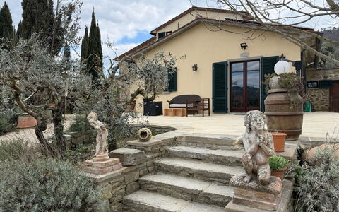 Villa Eleonora: Pot De Fleur, Dalle, Jardin, Ombre, Aménagement Paysager, Plante D'Appartement, Hacienda, Allée, Cour