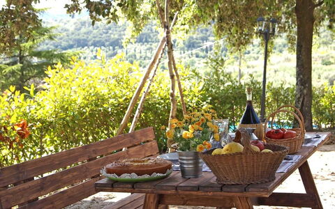 Villa Gelsomino: Table, Meubles, Arrière-Cour, Pique-Nique, Pièce, Arbre, Paysage, Tableau De Plein Air, Mobilier De Jardin, Repas