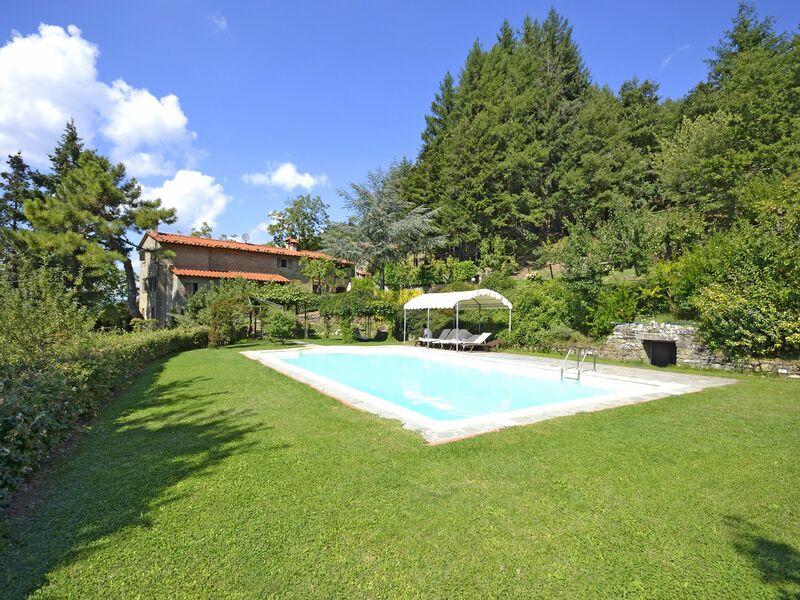 Swimming pool and garden
