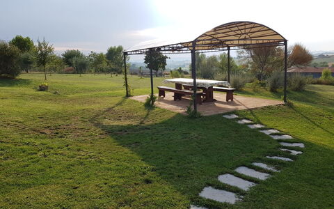 Villa Anita: Herbe, Lot Terre, Prairie, Zone Rurale, Pelouse, Ferme, Cour, Arrière-Cour, Jardin, Ombre