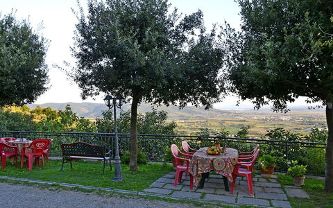 Appartamento Luna: Arbre, Loisir, Botanique, Suppression Des Plantes Ligneuses, Herbe, Printemps, Zone Rurale, Meubles, Jardin, Été