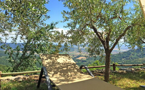 Villa Del Sole: Arbre, Suppression Des Plantes Ligneuses, Plante, Réserve Naturelle, Canoe Birch, Immobilier, Avion, Table, Ombre