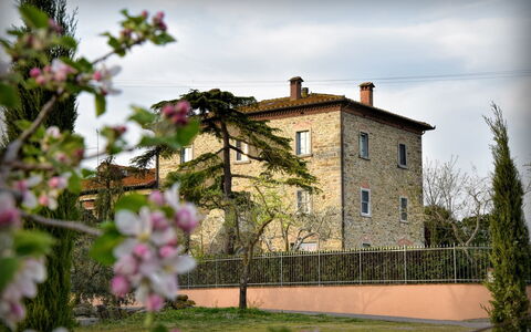Villa Il Palazzo: Fleur, Plante, Ciel, Nuage, Bâtiment, Fenêtre, Maison, Pétale, Herbe, Mur
