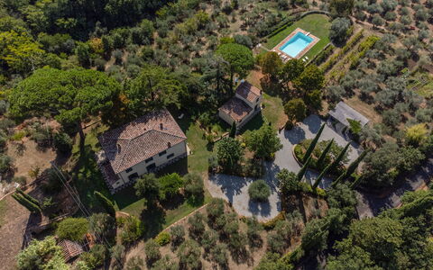 Villa San Pietro: Communauté Des Plantes, Plante, Lot Terre, Bâtiment, Arbre, Design Urbain, Paysage Naturel, Quartier, Zone Résidentielle, Zone Rurale