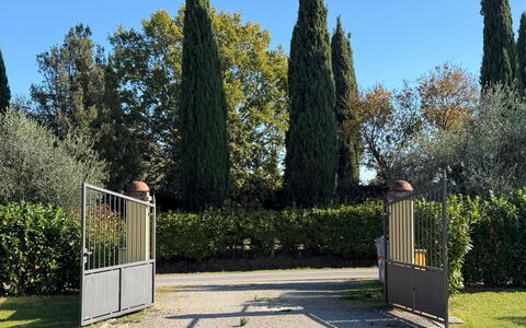 Villa Mira: Arbuste, Jardin, Ombre, Aménagement Paysager, À Feuilles Persistantes, Haie, Parc, Clôture