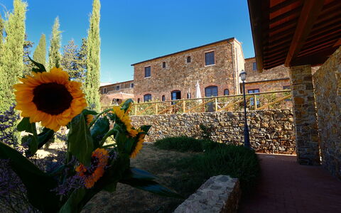 Borgo Casa Di Lappi: Tournesol, Fleur, Bleu, Tournesol, Jaune, Ciel, Plante, Architecture, Bâtiment, Paysage