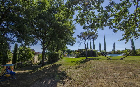Villa Del Monte: Arbre, Herbe, Lot Terre, Suppression Des Plantes Ligneuses, La Photographie, Route, Immobilier, Paysage, Plante, Zone Rurale