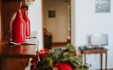 Agriturismo la Papessa: Orange, Plante, Appareil De Cuisine, Cuisine, Gaz, Bois, Fleur, Pétale