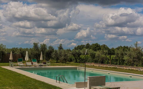 Agriturismo la Papessa: L'Eau, Nuage, Ciel, Plante, Arbre, Bleu Azur, Piscine, Paysage Naturel, Lot Terre, Ombre