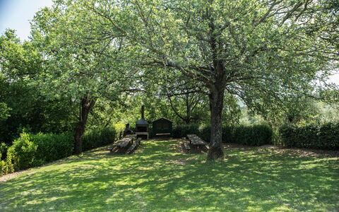 Agriturismo la Papessa: Plante, Vert, Feuille, Branche, Paysage Naturel, Ciel, Arbre, Végétation, Lot Terre, Ombre