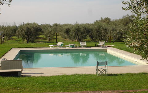 Agriturismo la Papessa: L'Eau, Plante, Propriété, Piscine, Ciel, Rectangle, Ombre, Herbe, Lot Terre, Loisir