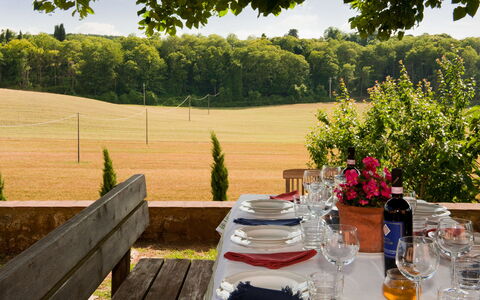 Villa Le Caggia: Propriété, Arbre, Herbe, Table, Paysage, Pelouse, Immobilier, Arrière-Cour, Jardin, Maison