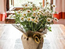 Logement:&nbsp;Casa Vecchia