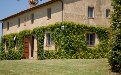 Podere San Giovanni: Plante, Bâtiment, Fenêtre, Propriété, Ciel, Végétation, Lot Terre, Herbe, Chalet, Maison