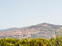 Agriturismo Il Sambuco