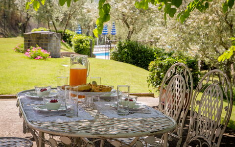 Villa Le Capanne: Vert, Jaune, Table, Meubles, Arrière-Cour, Chaise, Jardin, Arbre, Restaurant, Plante