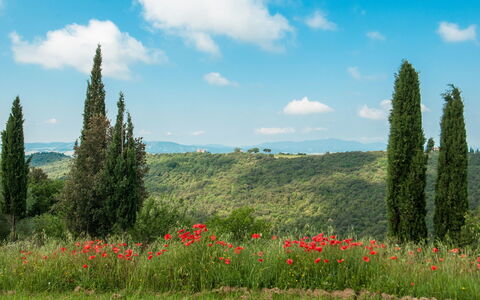 Fontanelle 16: Paysage Naturel, Prairie, La Nature, Environnement Naturel, Végétation, Prairie, Ciel, Région Sauvage, Réserve Naturelle, Biome
