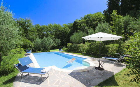 Villa Gioiosa: Piscine, Mobilier De Jardin, Jardin, Ombre, Recours, Arrière-Cour, Eco Hôtel, Aménagement Paysager, Chaise, Caractéristique De L'Eau