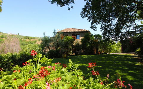 Villa Gioiosa: Fleur, Plante, Ciel, Communauté Des Plantes, Arbre, Paysage Naturel, Bâtiment, Lot Terre, Végétation, Herbe