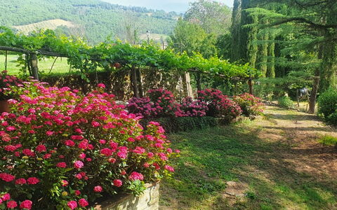 Palazzo Rosadi: Fleur, Plante, Communauté Des Plantes, Botanique, Paysage Naturel, Ciel, Végétation, Biome, Pétale, Arbre