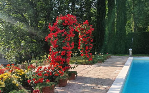Torre del Cielo: L'Eau, Fleur, Plante, Vert, Arbre, Végétation, Pétale, Herbe, Pot De Fleur, Paysage