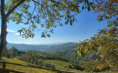 Villa Camilla