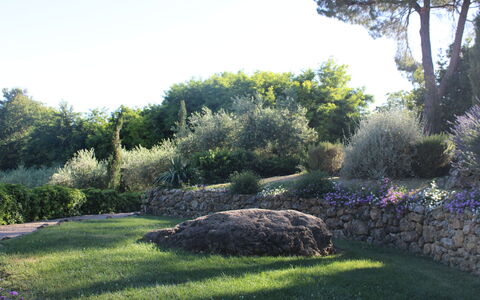 Gli Appartamenti Di Manuela: Herbe, Feuille, Végétation, Arbuste, Jardin, Roche, Communauté Des Plantes, Paysage, Couverture De Sol