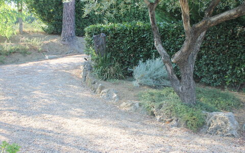 Gli Appartamenti Di Manuela: Plante, Surface De La Route, Arbre, Tronc, Lot Terre, Paysage Naturel, Asphalte, Couverture De Sol, Arbuste, Herbe