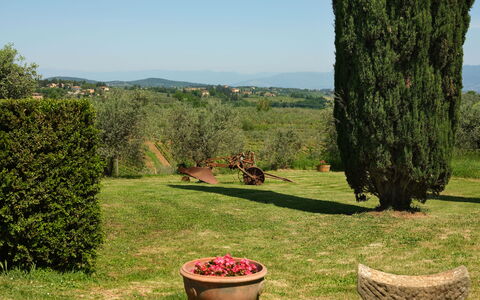 Pozzo Dei Desideri: Plante, Ciel, Fleur, Communauté Des Plantes, Pot De Fleur, Vert, La Nature, Botanique, Paysage Naturel, Arbre