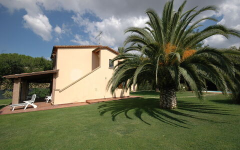 Poderino: Propriété, Palmier, Maison, Herbe, Arecales, Arbre, Domicile, Immobilier, Attalea Speciosa, Bâtiment