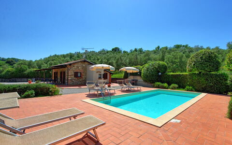 Cuccardino: Ciel, Propriété, Plante, Piscine, L'Eau, Arbre, Mobilier De Jardin, Bois, Rectangle, Herbe