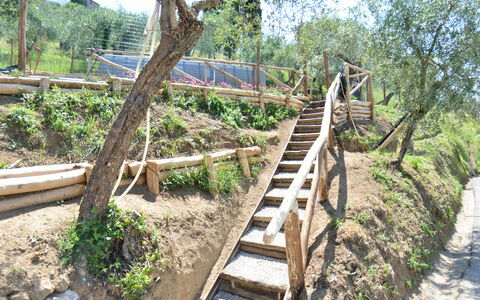 Alla Piazzetta: Arbre, Botanique, Escaliers, Passerelle, Plante, Bois, Communauté Des Plantes, Faune, Boardwalk, Maison