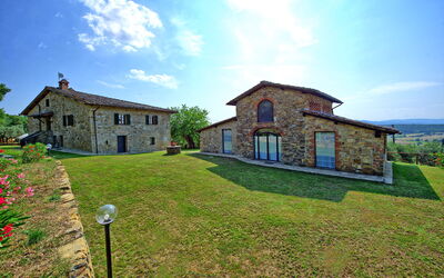 Querciolaia