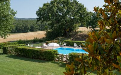 La Piccola Selva: Propriété, Piscine, Recours, Arbre, Maison, Immobilier, Villa, Bâtiment, Vacances, Loisir