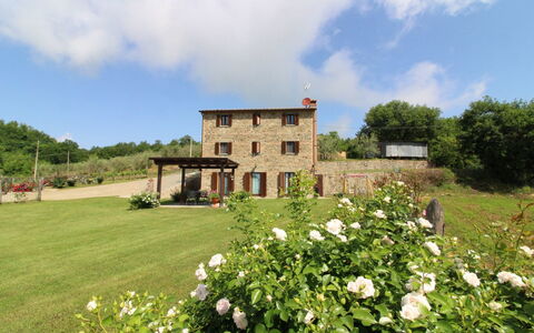 Poggio del Fabbro: Fleur, Plante, Nuage, Bâtiment, Ciel, Arbre, Paysage Naturel, Fenêtre, Lot Terre, Maison