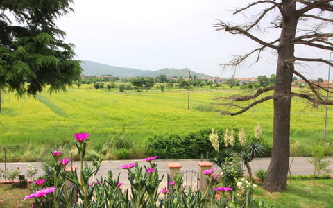 Podere i Gigli: La Nature, Paysage Naturel, Végétation, Environnement Naturel, Prairie, Arbre, Printemps, Plante, Jardin, Botanique