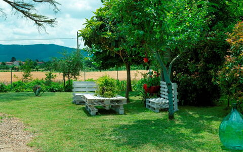 Podere i Gigli: Plante, Ciel, Vert, Communauté Des Plantes, Nuage, Arbre, Extérieur Banc, Paysage Naturel, Lot Terre, Herbe