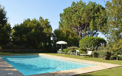 Compignano Barn: Piscine, Propriété, Maison, Loisir, Immobilier, Domicile, Biens, Bâtiment, Arbre, Arrière-Cour