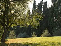 Villa Dorella Di Montaperti